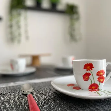 Apartament Le Platane - *