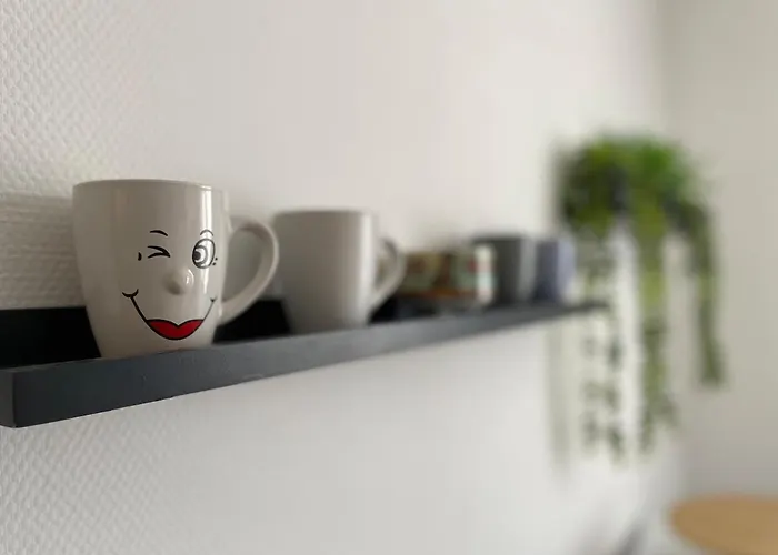 Le Platane - Appartamento Colmar